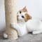 Pet Adobe 19.25-inch Cat Scratching Post with Toys 206455SJS - alternate 6